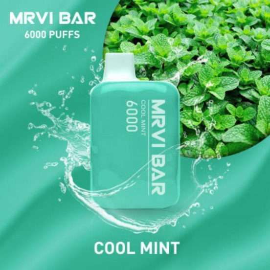 Disposable Vapes Baish Mrvi Mr6000 Wholesale