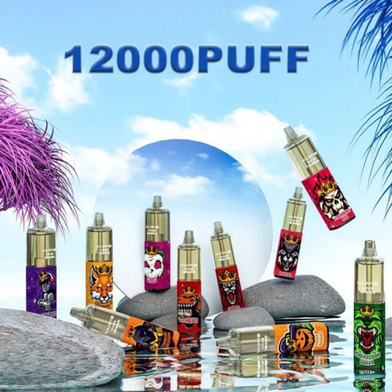 Wide Flavor Selection Vapme Pen 12000 Puffs Disposable Vape