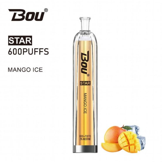 Good Price BOU Disposable Vape Brands Bou Star 600 Puffs