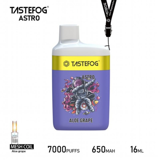 2024 Best Tastefog Tastefog 7000 Puffs Wholesale Vape Pen
