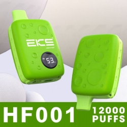 EKS Eks Hf001 12000 Puffs Brands Disposable Vape