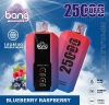 Puff Bang Disposable E-cigarette