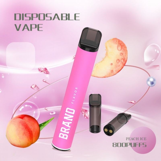 Hot Selling Disposable Vape no 600 Puffs Brands