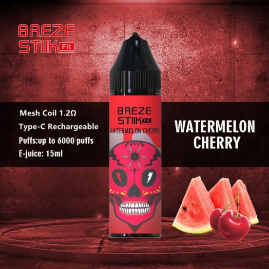 Bulk Pricing STEAM ENGINE Breze Stiik Fit 6000 Puffs