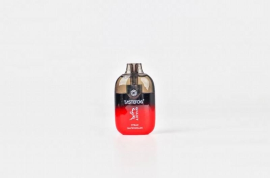 2024 Best Tastefog Giant 800 Puffs Wholesale Disposable Vape Pen