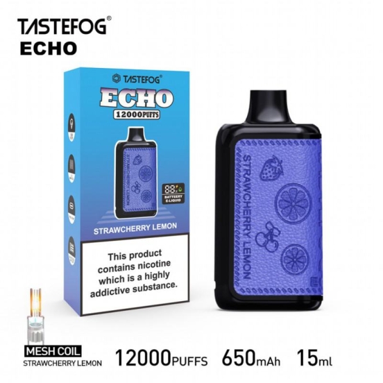 Disposable Vape Pens RandM Echo 12000 Puffs Wholesale