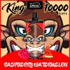 Disposable Mr Smog King 10000 Puffs Vape Pen